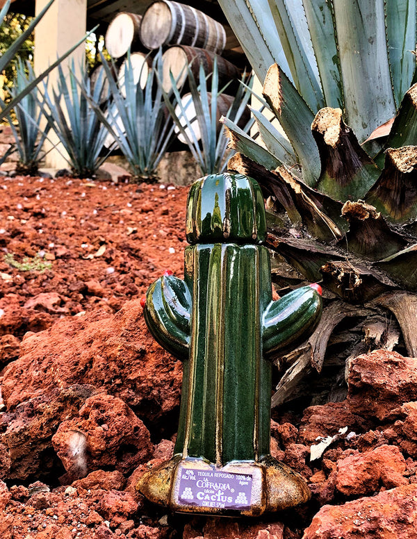 Tequila - Boutique - Cactus Reposado